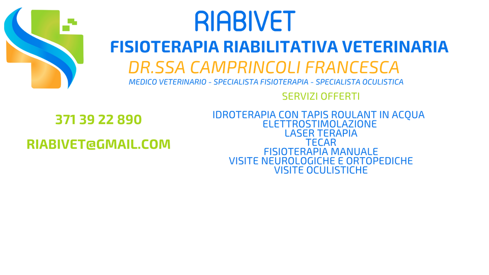 Banner Riabivet